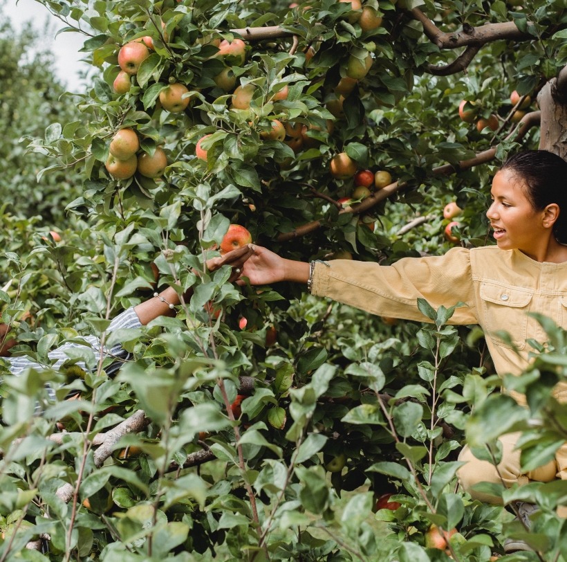 Eat Climate for Breakfast @foodwave